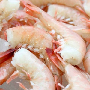 Gulf Pink Shrimp
